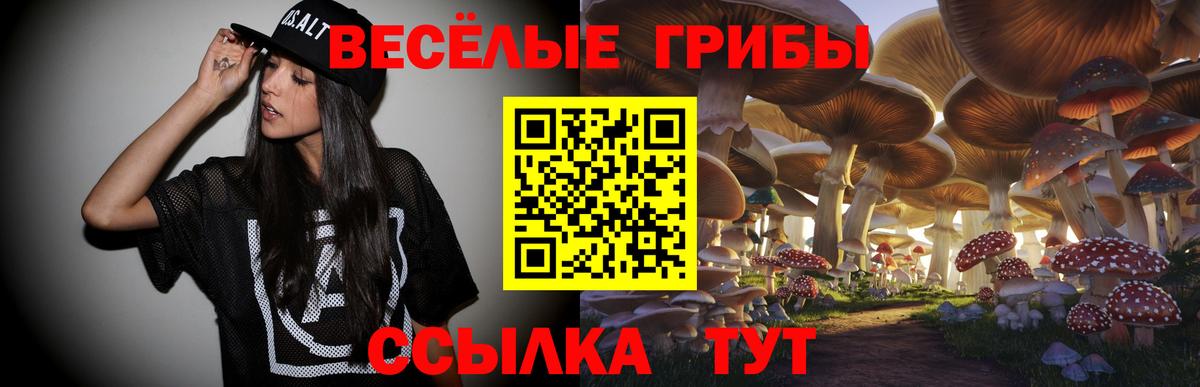 Псилоцибиновые грибы ЛСД  Вход с VPN  Чайковский 