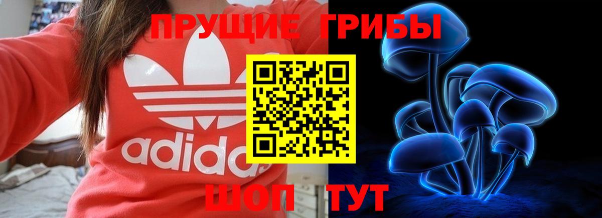 Псилоцибиновые грибы MAGIC MUSHROOMS Чайковский